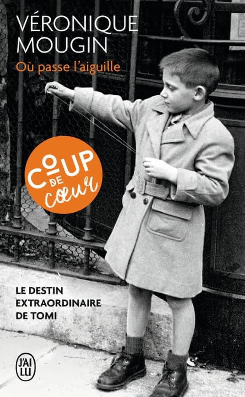 Où passe l'aiguille : roman