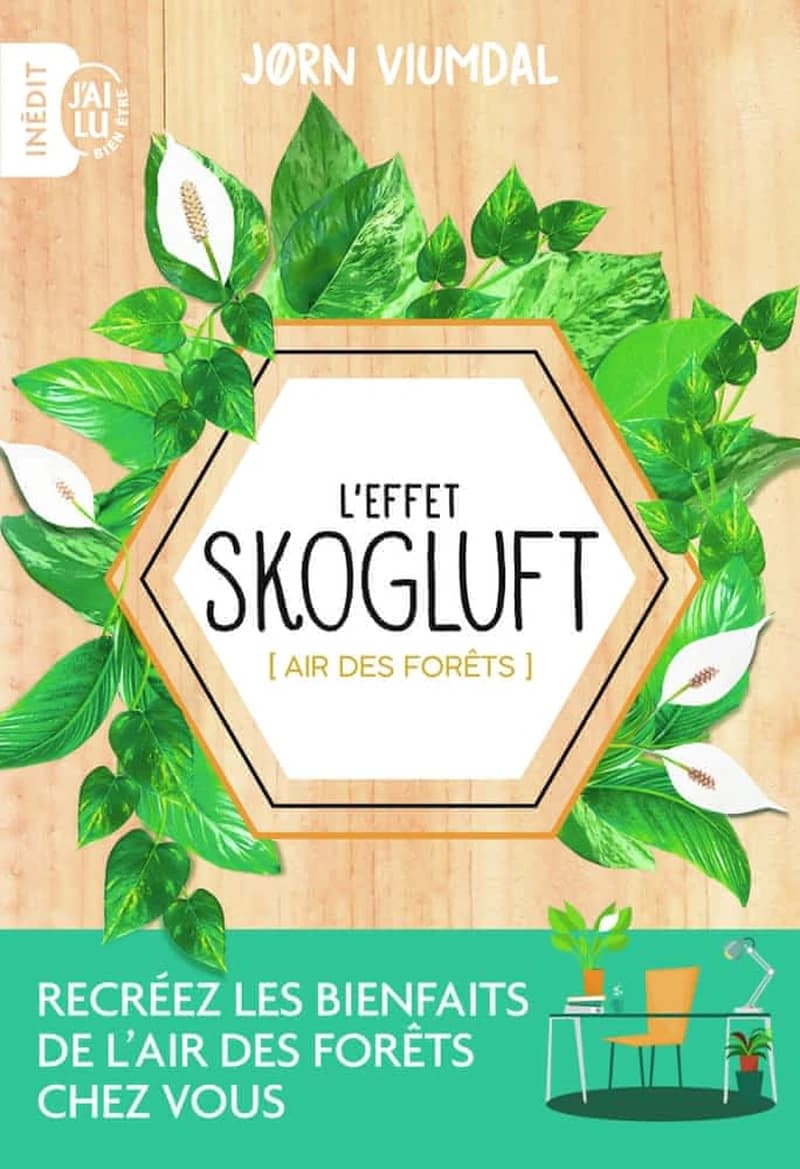 L'effet Skogluft : air des forêts