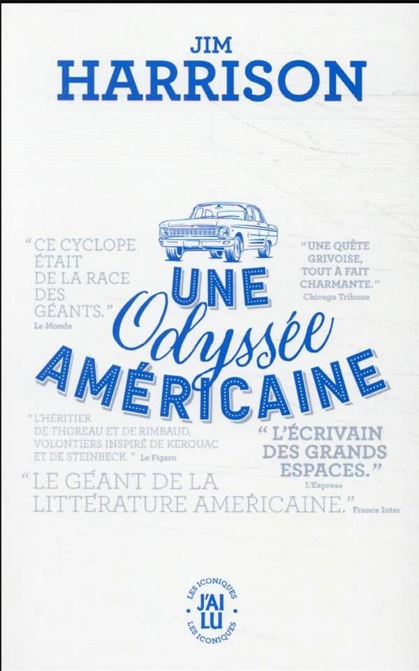 Une odyssée américaine : roman
