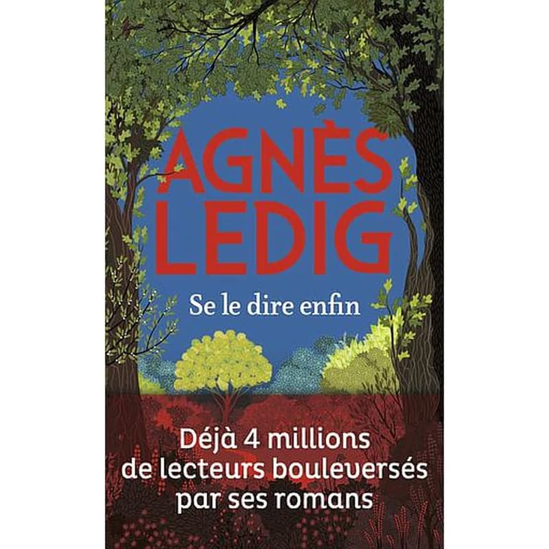 Se le dire enfin : roman