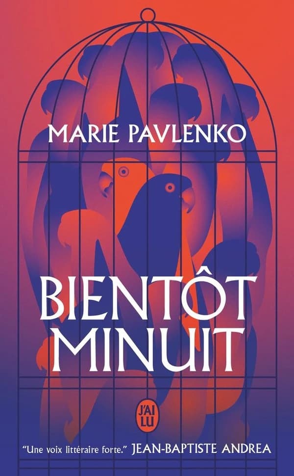 Bientôt minuit : roman