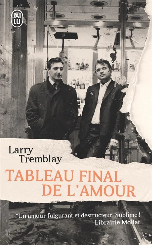 Tableau final de l'amour : roman