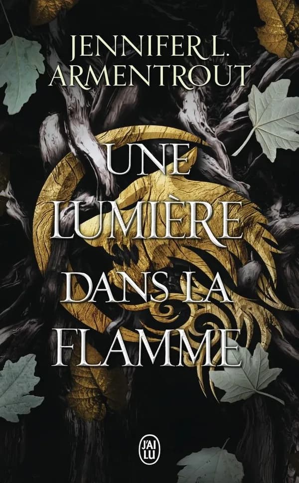 Une lumière dans la flamme : roman