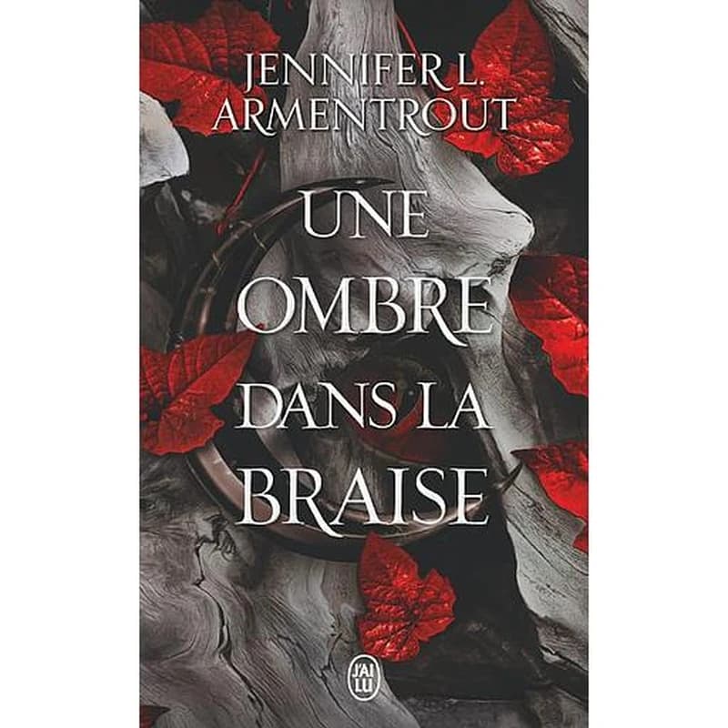 Une ombre dans la braise : roman