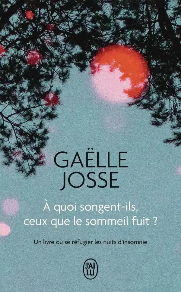 À quoi songent-ils, ceux que le sommeil fuit ? : microfictions