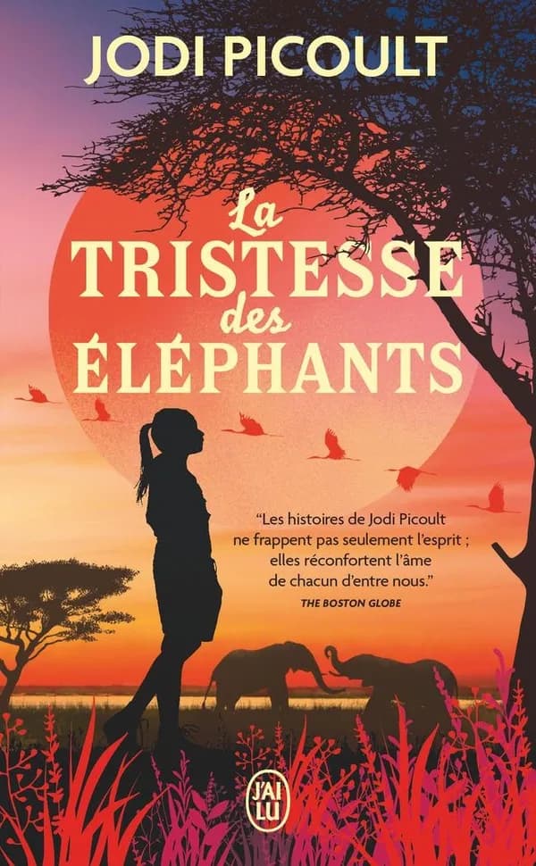 La tristesse des éléphants : roman