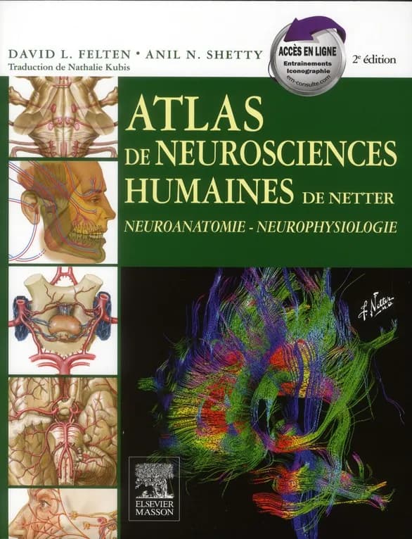 Atlas de neurosciences humaines de Netter (2e éd.) David L. Felten,... Anil N. Shetty,... ; traduction de Nathalie Kubis ; illustrations de Frank H. Netter...