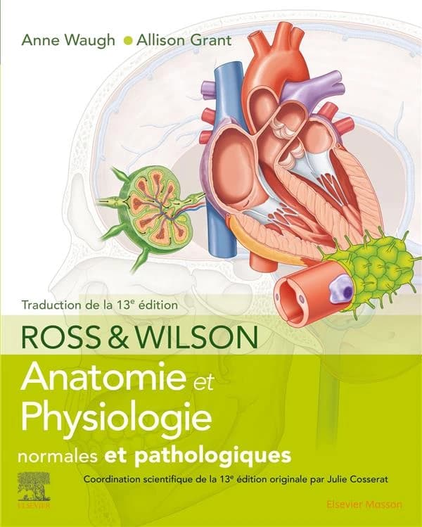 Anatomie et physiologie normales et pathologiques (13e éd.) Ross et Wilson ; [mis à jour par] Anne Waugh,... Allison Grant,... ; illustrations par Richard Tibbitts,... ; coordination scientifique de l'édition française [traduite de la 13e édition anglaise