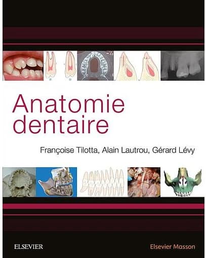 CAMPUS ANATOMIE DENTAIRE