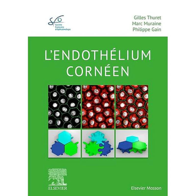 L'endothélium cornéen : rapport 2020