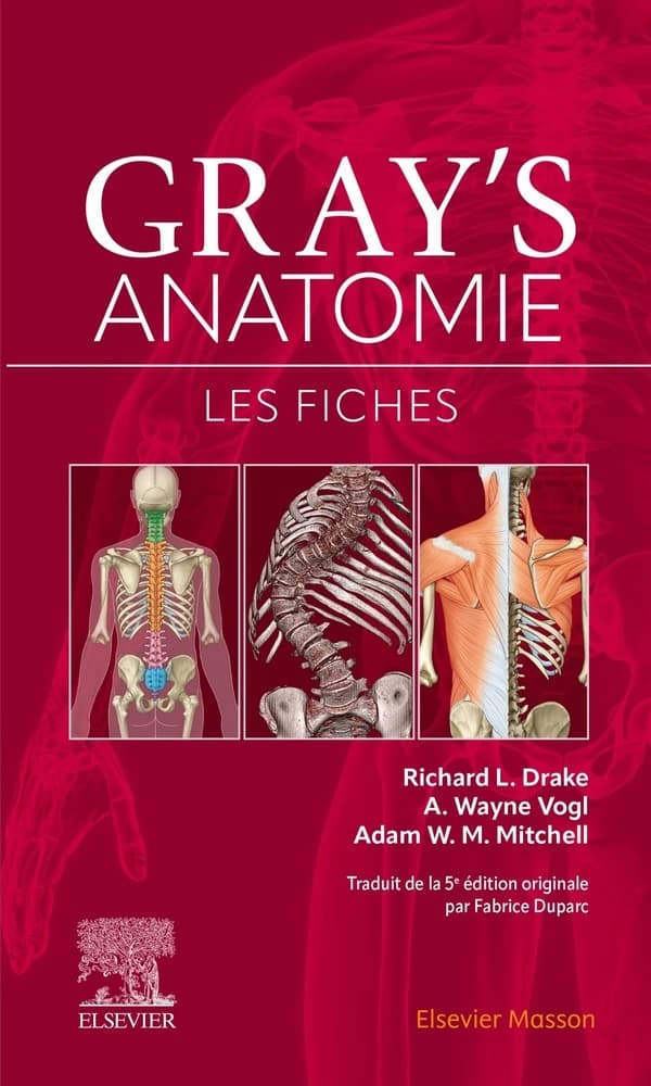 Gray's anatomie : les fiches (4e éd. française traduite de la 5e éd. originale) Richard L. Drake,... A. Wayne Vogl,... Adam W. M. Mitchell,... ; illustrateurs, Richard M. Tibbitts et Paul E. Richardson, Antbits illustrations ; traduction coordonnée par Fa