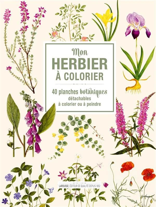 Mon herbier à colorier : 40 planches botaniques détachables à colorier ou à peindre : [Album à colorier]