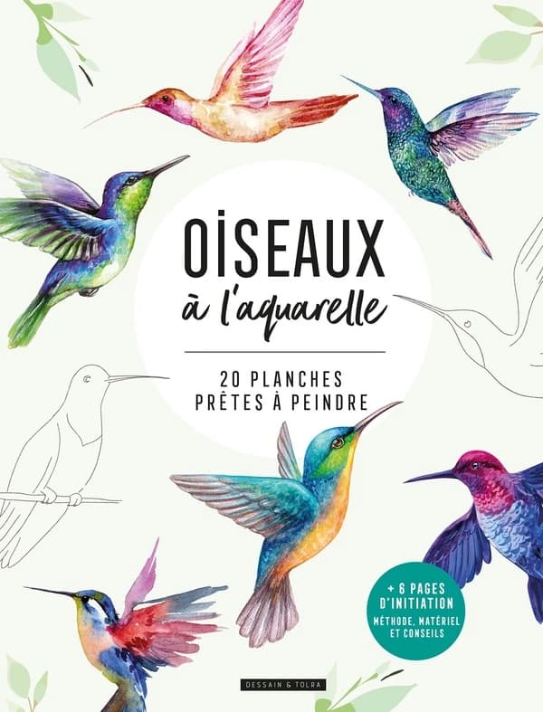 Oiseaux à l'aquarelle : [Album à colorier]