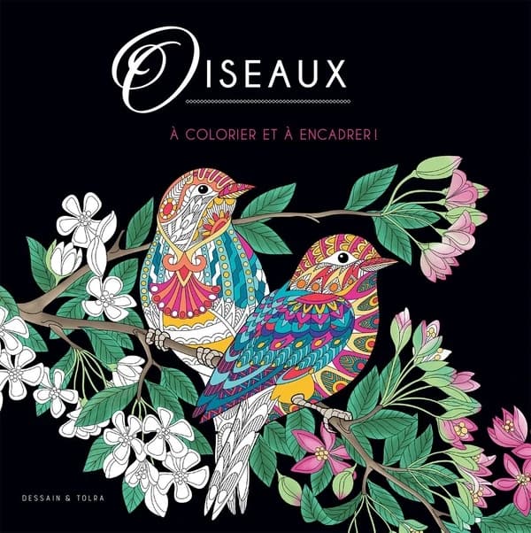 Oiseaux : colorier, s'amuser, s'évader : black coloriage : [Album à colorier]