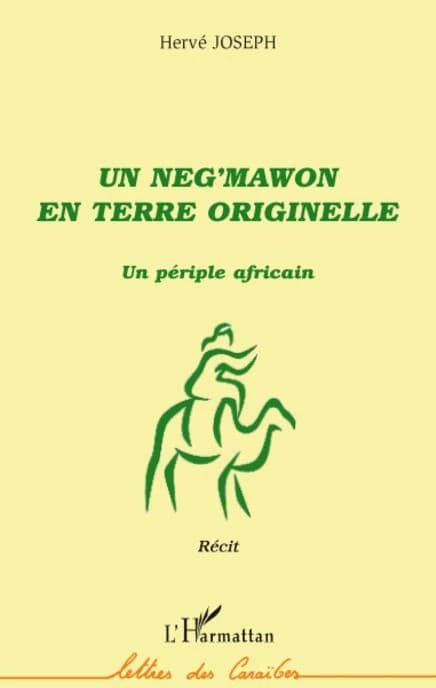 Un neg'mawon en terre originelle : un périple africain : [récit]