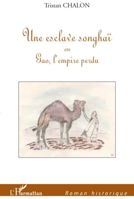 Une esclave songhaï ou Gao, l'empire perdu