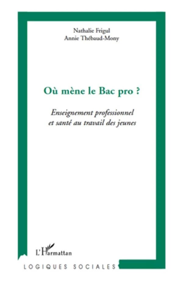 Où mène le Bac pro ? : enseignement professionnel et santé au travail des jeunes