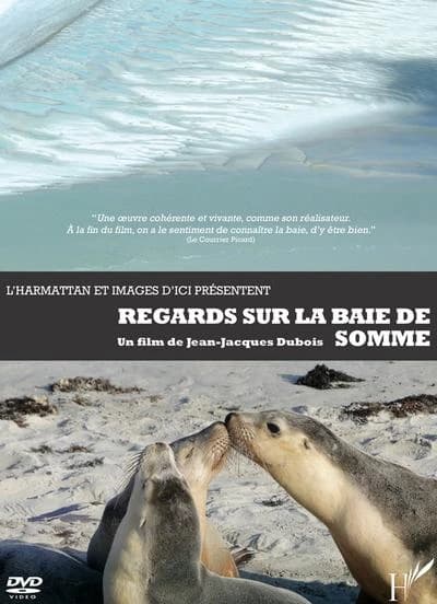 Dvd regards sur la baie de somme