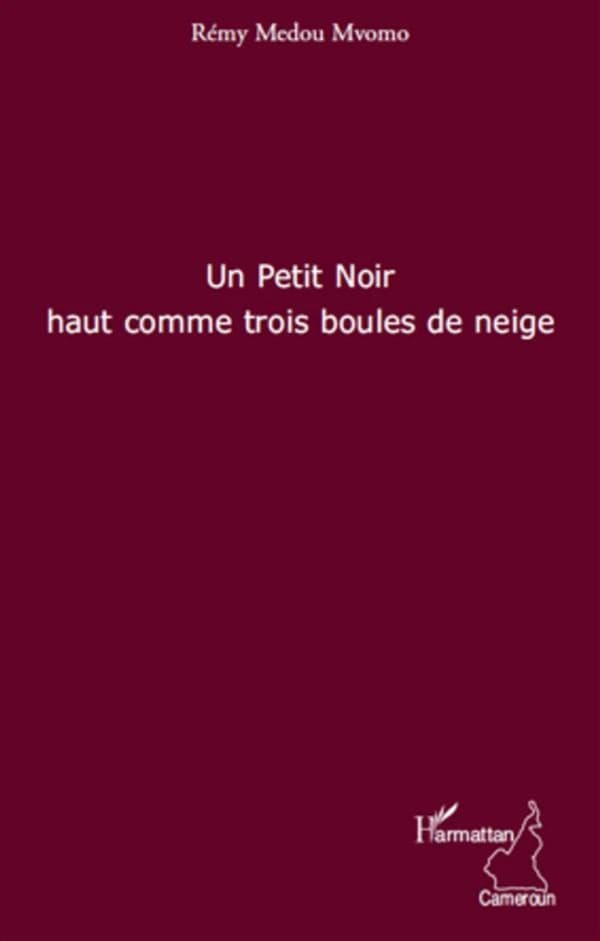 Un petit noir haut comme trois boules de neige : récit