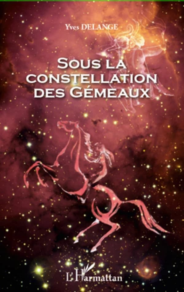 Sous la constellation des Gémeaux : roman