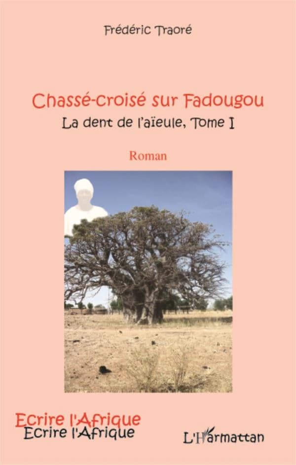 Chassé croisé sur Fadougou : roman