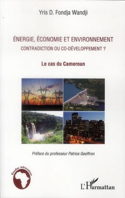 Énergie, économie et environnement : contradiction ou co-développement ? : le cas du Cameroun