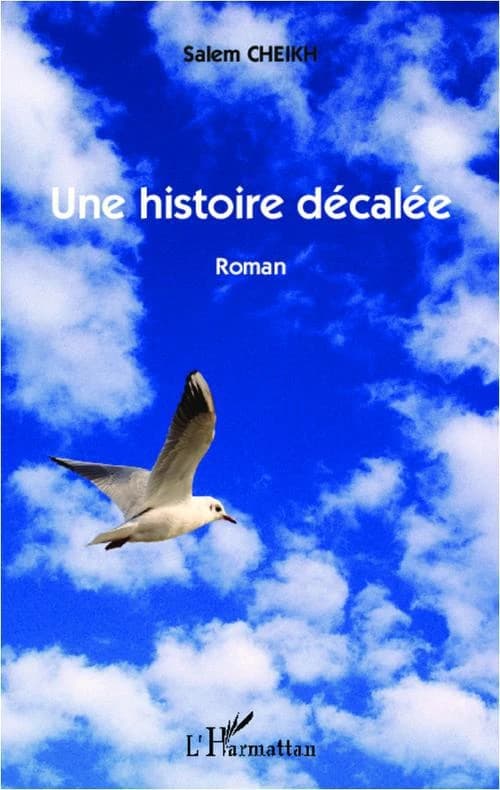 Une histoire décalée : roman