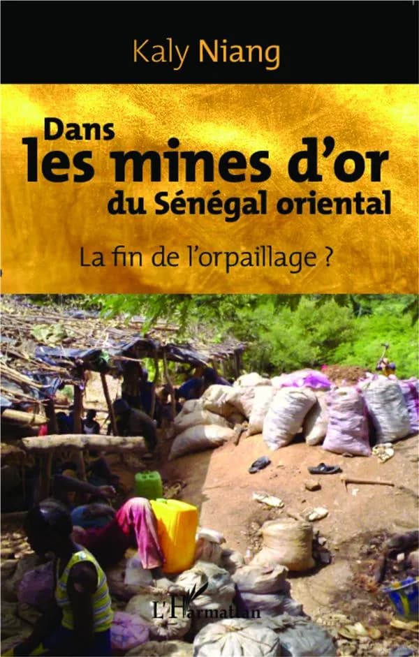 Dans les mines d'or du Sénégal oriental : la fin de l'orpaillage ?