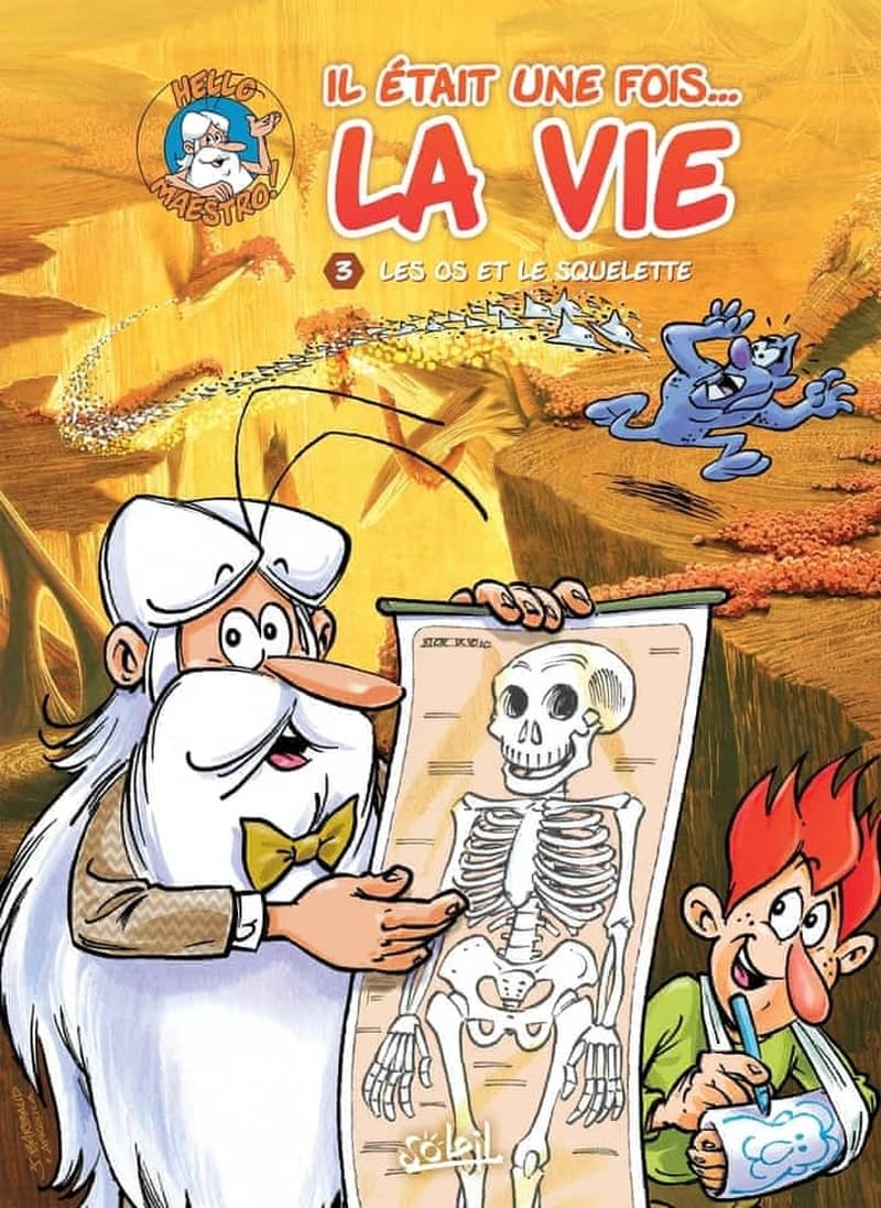 Les os et le