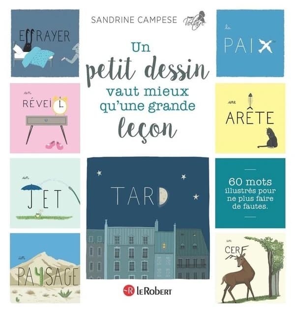 Un petit dessin vaut mieux qu'une grande leçon : 60 mots illustrés pour ne plus faire de fautes