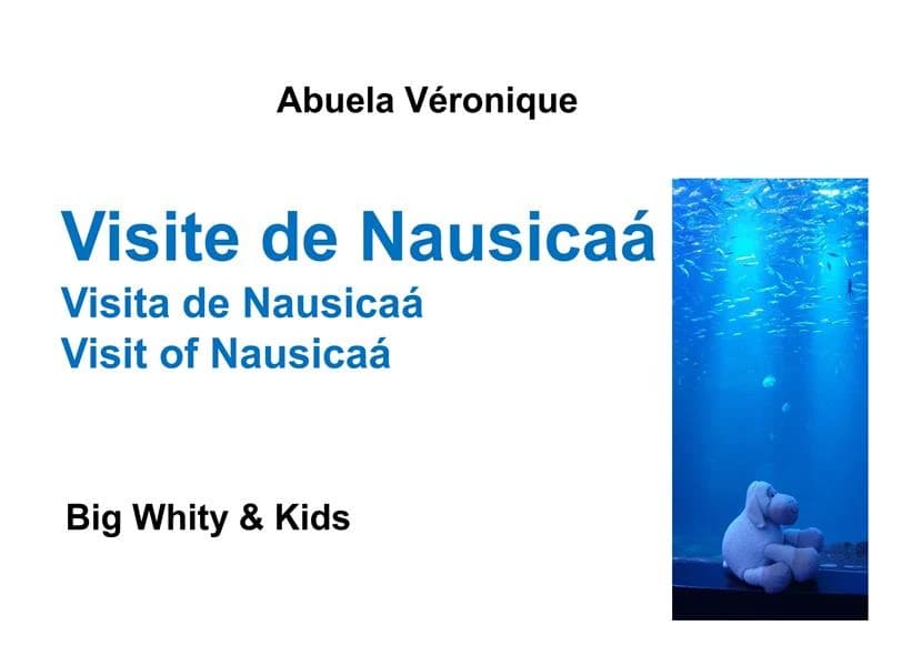 Visite de Nausicaá, Centre national de la mer