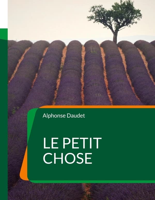 Le petit chose