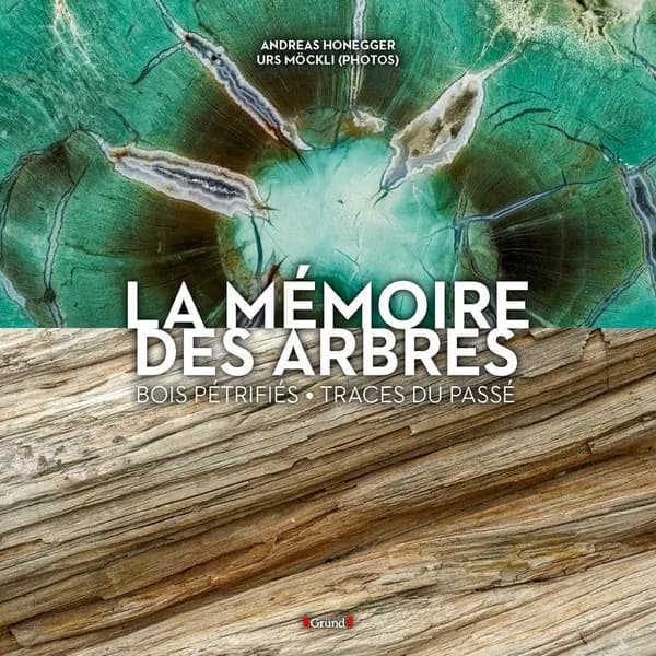 La mémoire des arbres : bois pétrifiés, traces du passé...