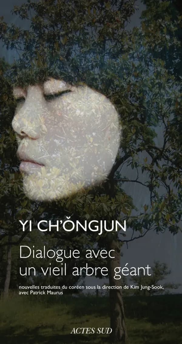 Dialogue avec un vieil arbre géant : nouvelles
