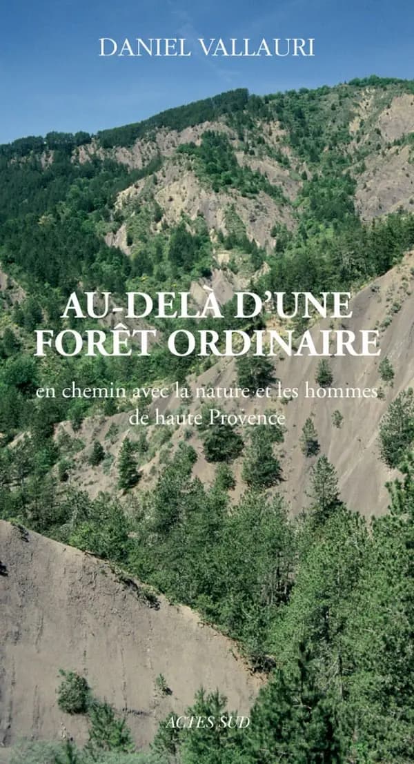 Au-delà d'une forêt ordinaire : en chemin avec la nature et les hommes de haute Provence