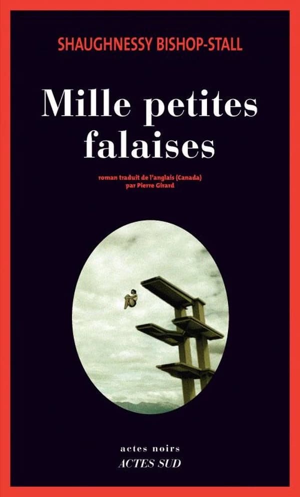 Mille petites falaises : roman