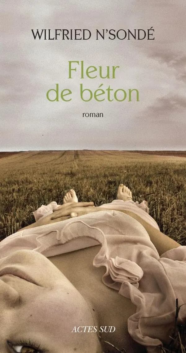 Fleur de béton : roman