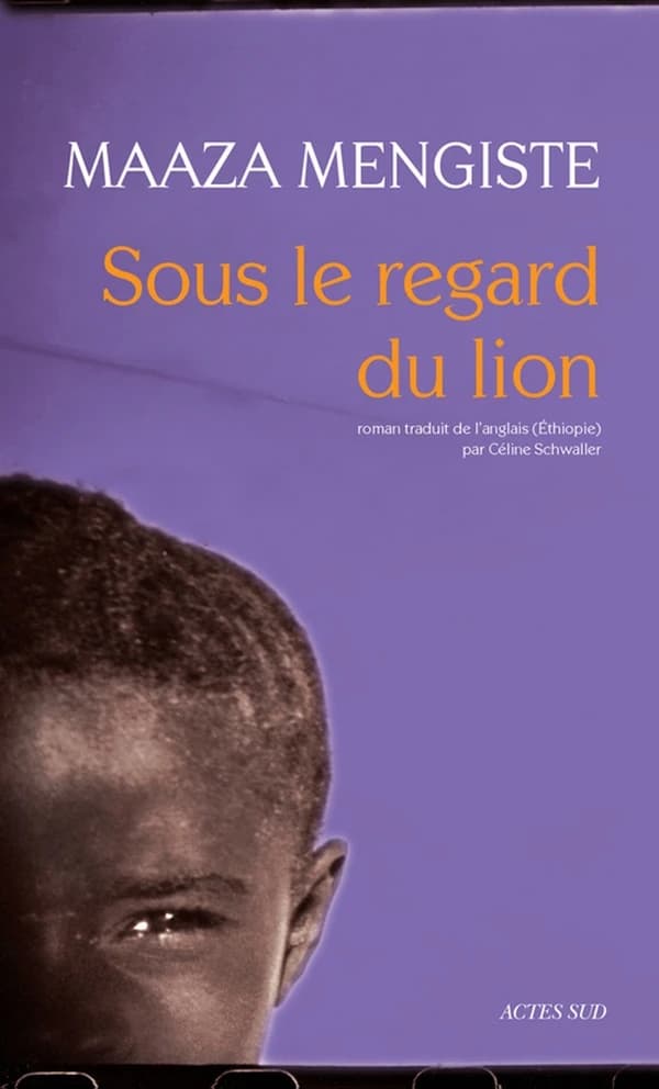 Sous le regard du lion : roman