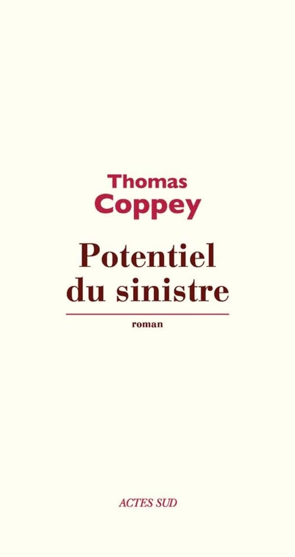 Potentiel du sinistre : roman