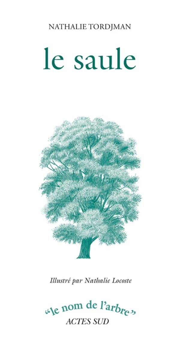 Le saule