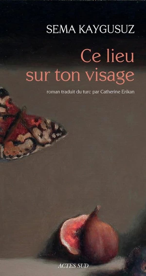 Ce lieu sur ton visage : roman