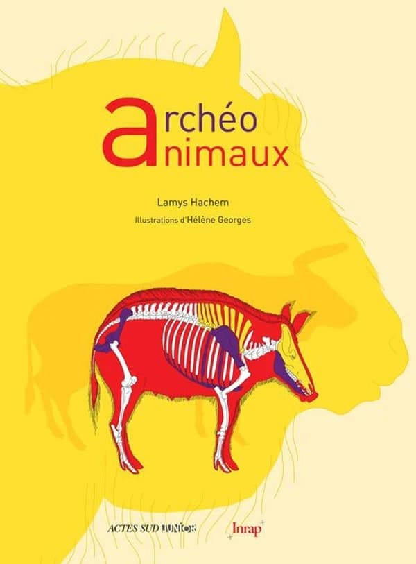 Archéo animaux : l'incroyable histoire de l'archéologie des animaux