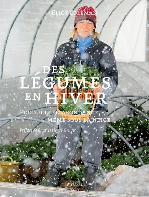Des légumes en hiver produire en abondance, même sous la neige