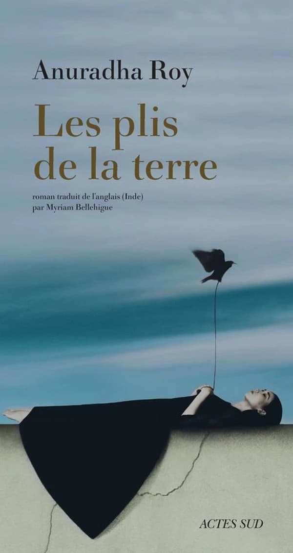 Les plis de la terre : roman