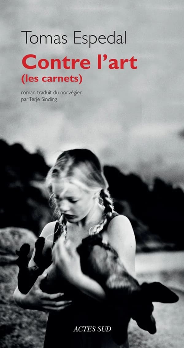 Contre l'art : les carnets, roman