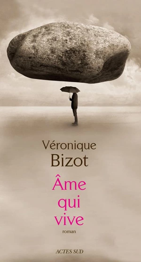 Âme qui vive : roman