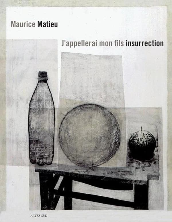 J'appellerai mon fils insurrection : assis, debout : roman-tableaux : [exposition, Arles, Chapelle Saint-Laurent, le Capitole, 7 juin-7 septembre 2014]