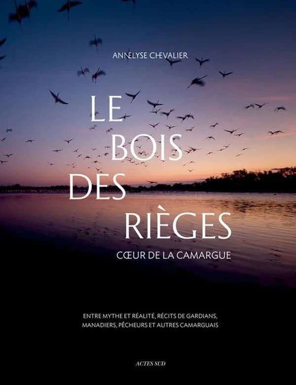 Le bois des Rièges : Coeur de la Camargue, entre mythe et réalité, récits de gardians, manadiers, pêcheurs et autres camarguais
