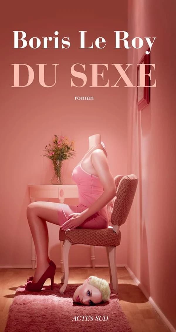 Du sexe : roman