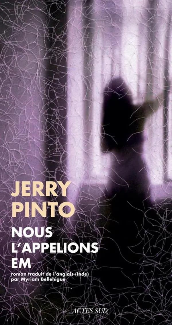 Nous l'appelions Em : roman